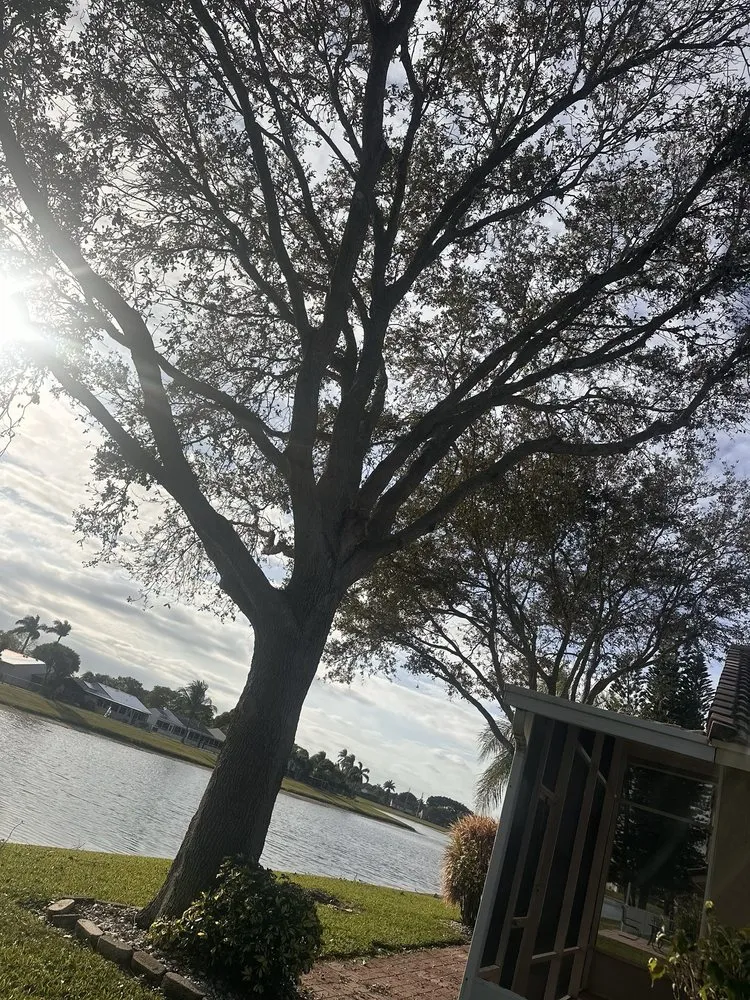 Professional garden landscaping for outdoor upgrades in West Palm Beach, FL by All Budget Trees and Lawn Service