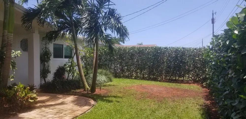 Trusted lawn care service in West Palm Beach, FL - All Budget Trees and Lawn Service