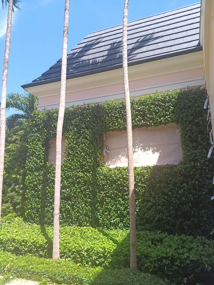 Custom lawn mowing service for outdoor upgrades across West Palm Beach, FL - All Budget Trees and Lawn Service