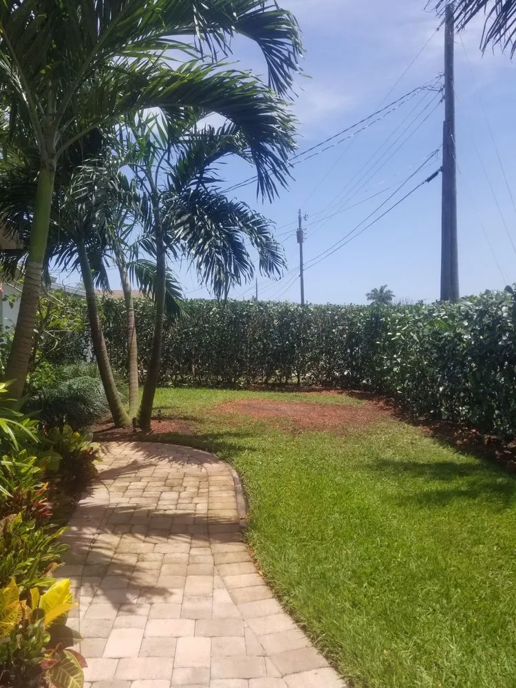 Custom outdoor landscaping in West Palm Beach, FL by All Budget Trees and Lawn Service