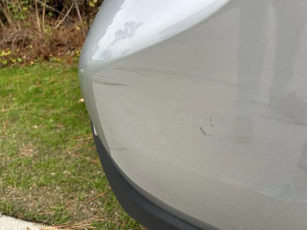 Custom garden landscaping in Wilmington, NC by All Bushes Landscape