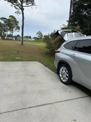 All Bushes Landscape Logo