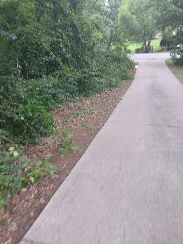 Affordable yard maintenance experts serving Haddock, GA - All Business Lawn Care