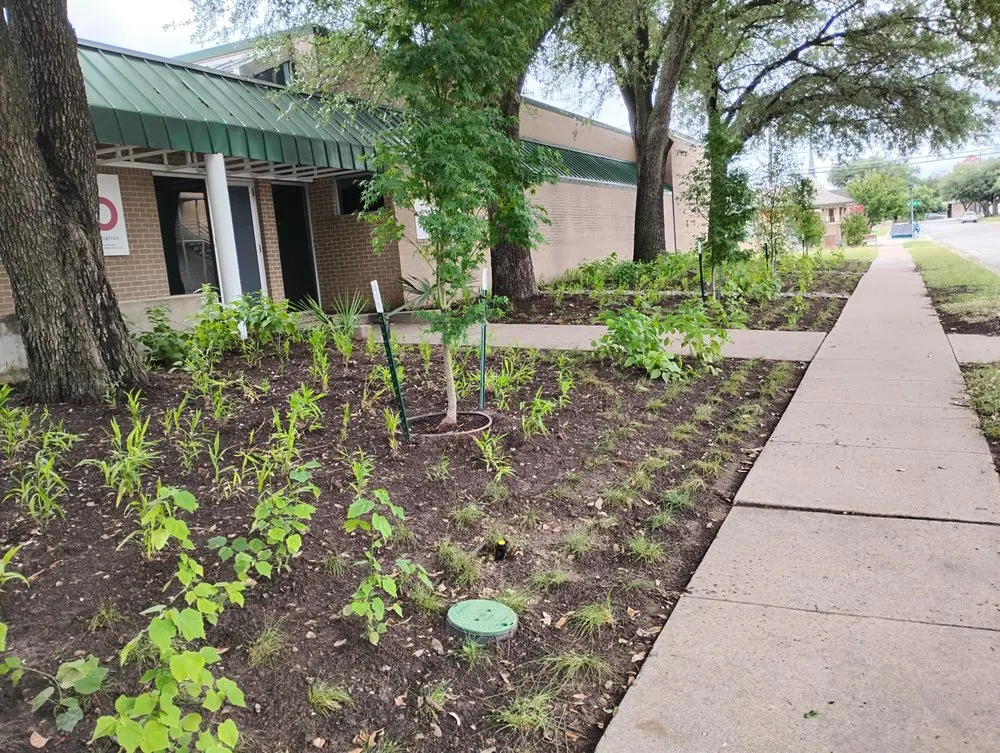 Reliable lawn mowing service in Lake Worth, TX - All Business No Brakes Landscape and Construction