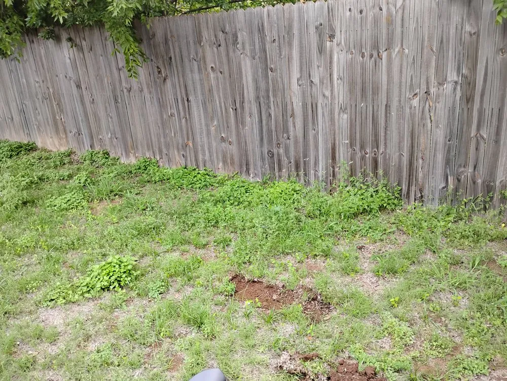 Reliable yard cleanup service for residential properties across Lake Worth, TX - All Business No Brakes Landscape and Construction