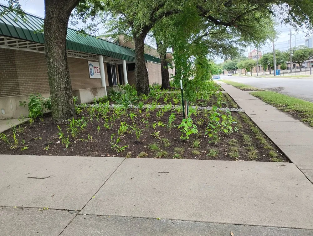 Reliable residential landscaping in Lake Worth, TX - All Business No Brakes Landscape and Construction