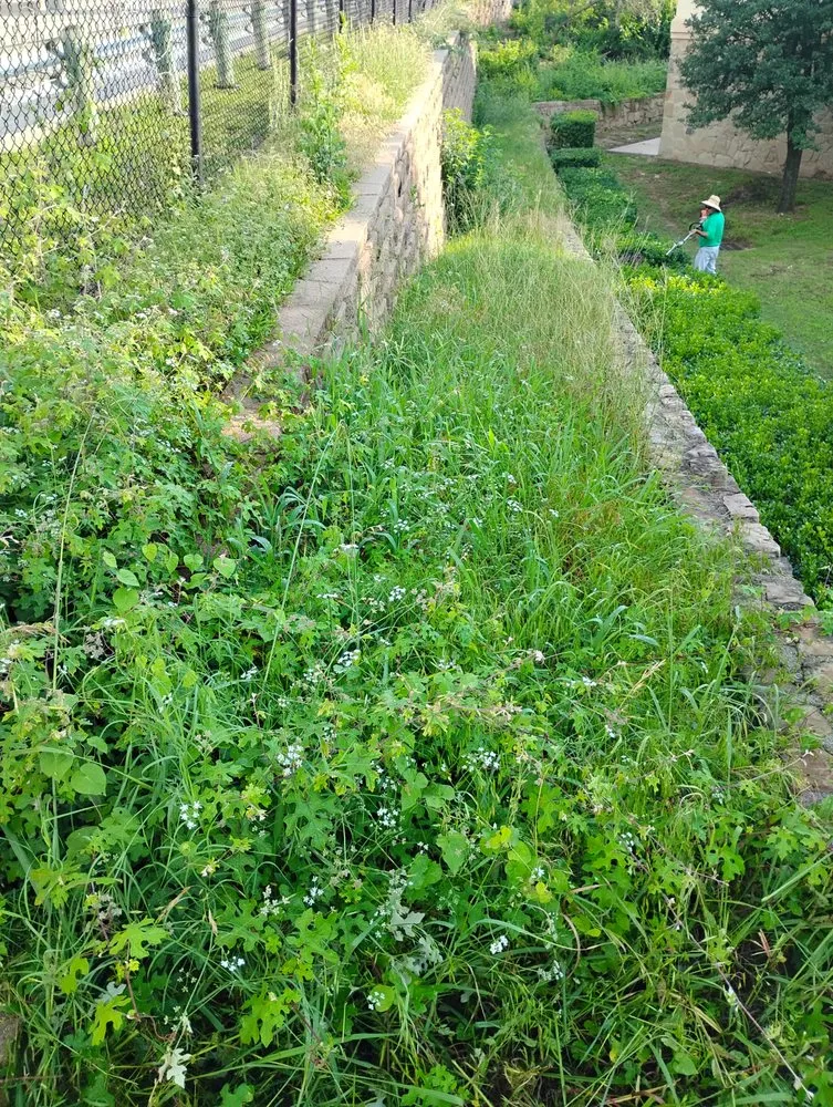 Reliable residential landscaping for outdoor upgrades across Lake Worth, TX - All Business No Brakes Landscape and Construction