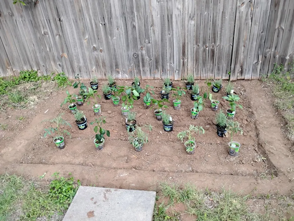 Top-rated lawn care service in Lake Worth, TX - All Business No Brakes Landscape and Construction