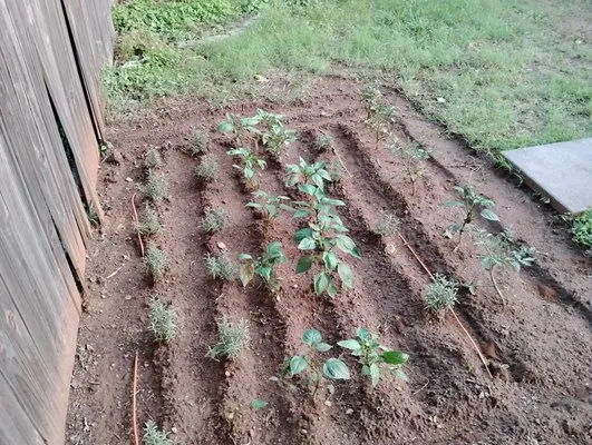 All Business No Brakes Landscape and Construction