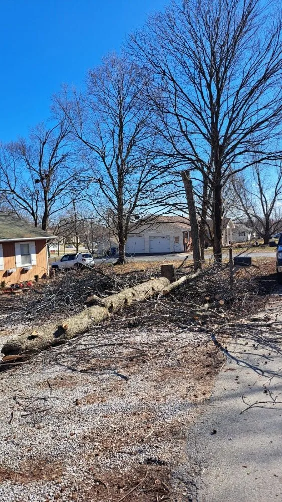 Professional landscaping services for beautiful yards in Springfield, MO by All Care Lawn Pro