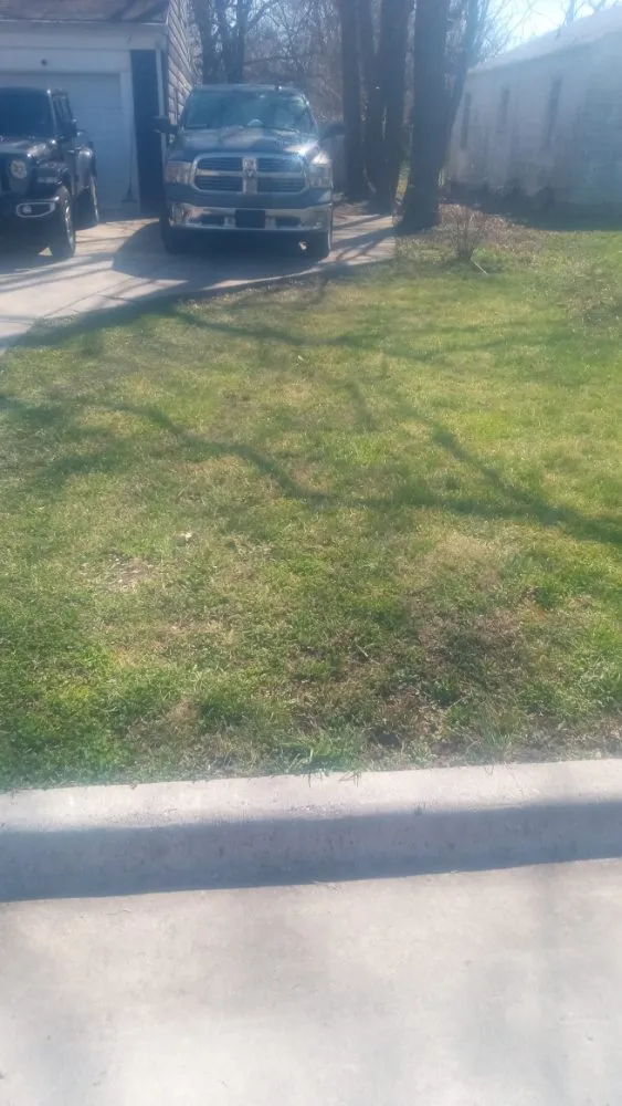 Top-rated yard maintenance for year-round maintenance in Springfield, MO by All Care Lawn Pro