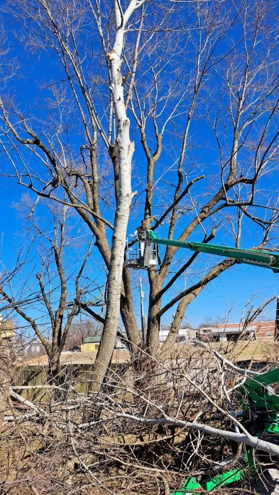 Local garden landscaping in Springfield, MO by All Care Lawn Pro