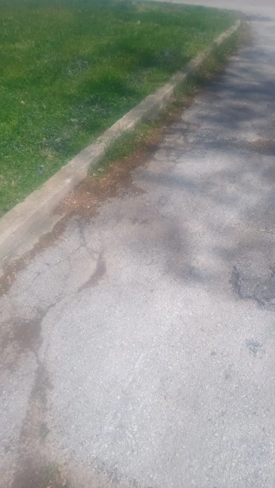 Expert lawn mowing service for year-round maintenance in Springfield, MO by All Care Lawn Pro