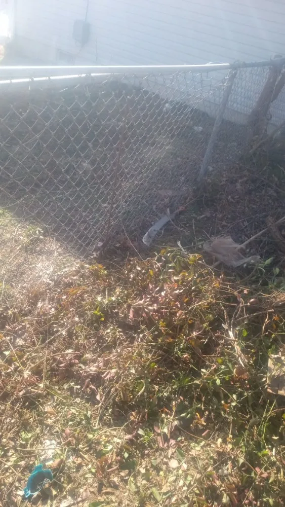 Local lawn mowing service in Springfield, MO - All Care Lawn Pro