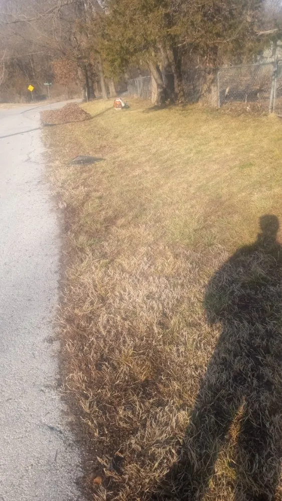 Professional landscape design experts serving Springfield, MO - All Care Lawn Pro