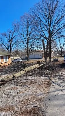 All Care Lawn Pro Logo