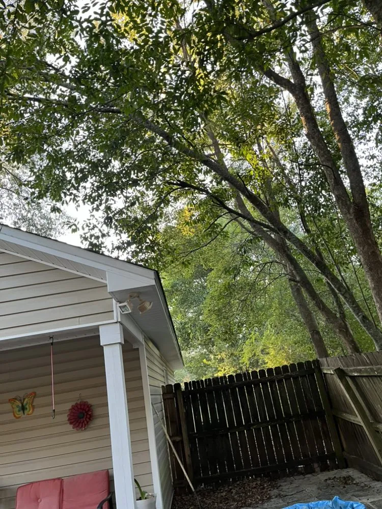 Custom landscape installation experts serving Westville, FL - All Care Outdoor Services
