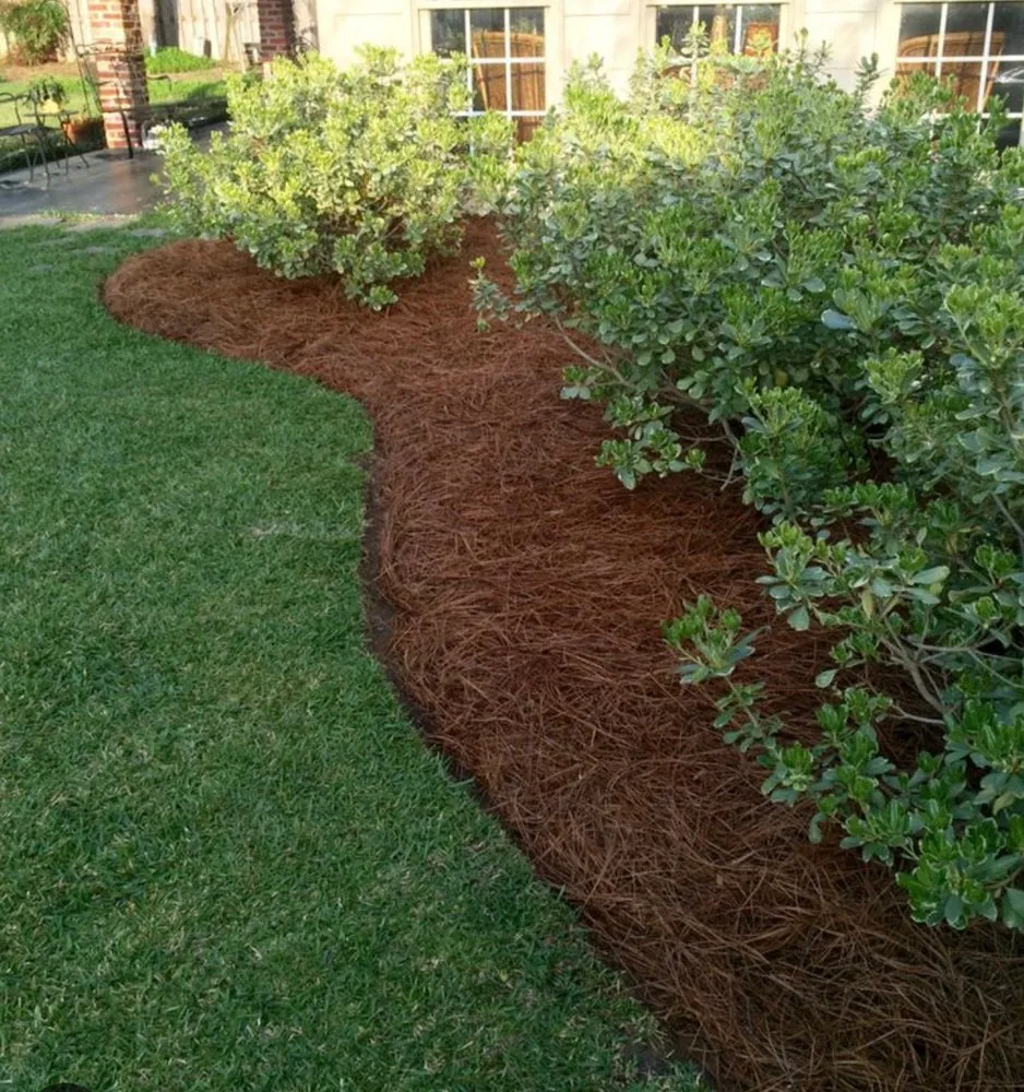 Custom landscaping services experts serving Westville, FL - All Care Outdoor Services