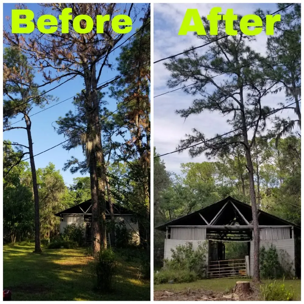 Professional landscaping services for homes in Riverview, FL by All Care Property Management