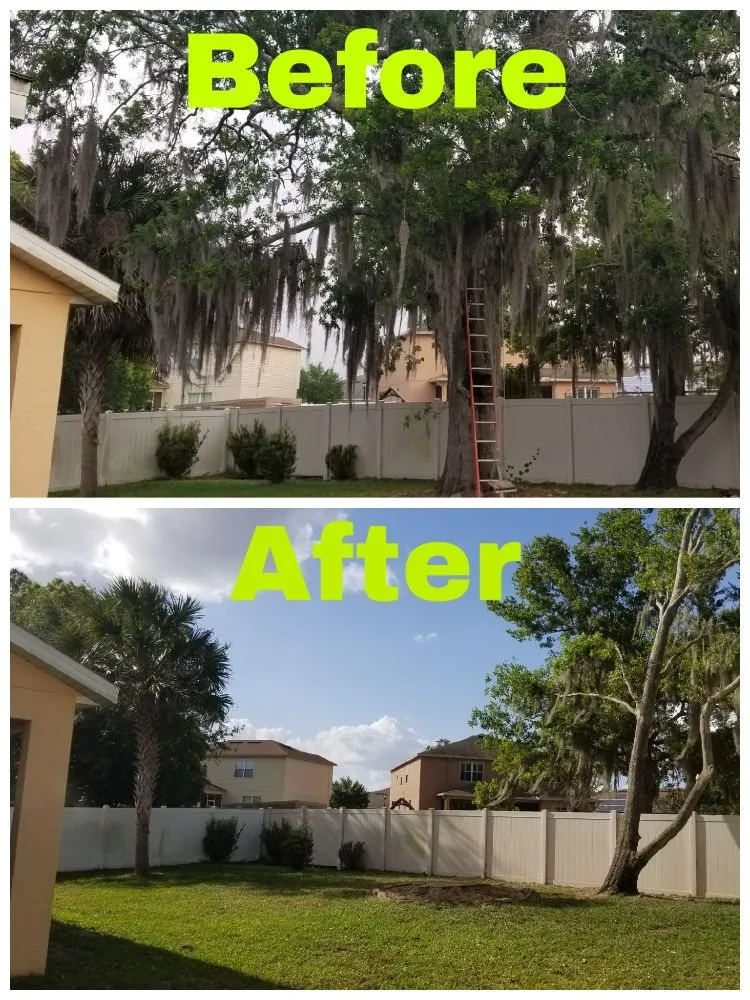 Top-rated yard maintenance in Riverview, FL - All Care Property Management