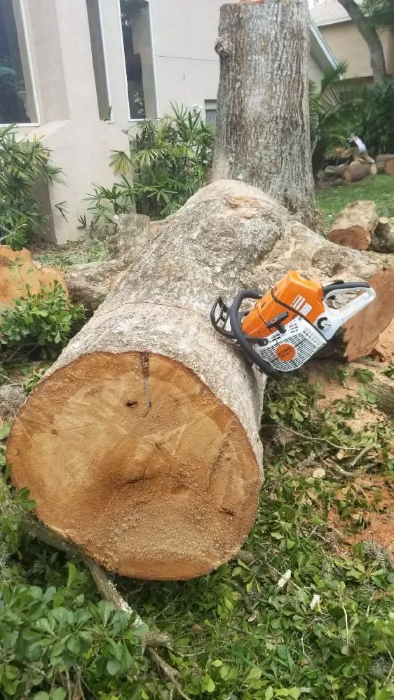 Top-rated garden landscaping in Riverview, FL by All Care Property Management