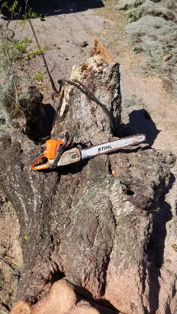 Affordable garden landscaping experts serving Riverview, FL - All Care Property Management