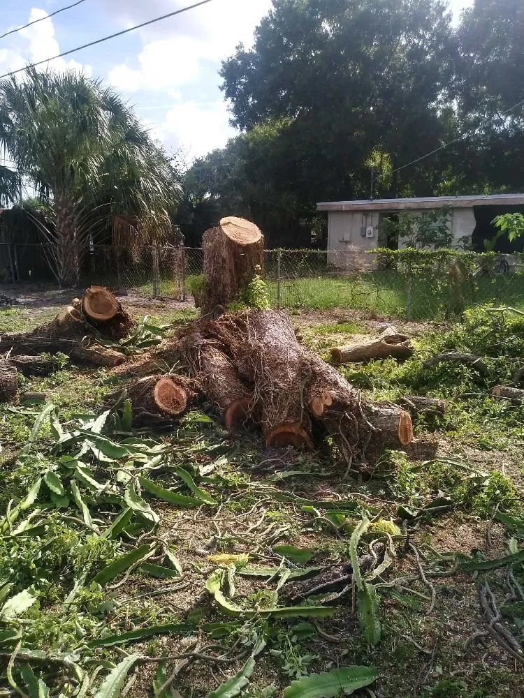 Affordable yard cleanup service in Riverview, FL by All Care Property Management