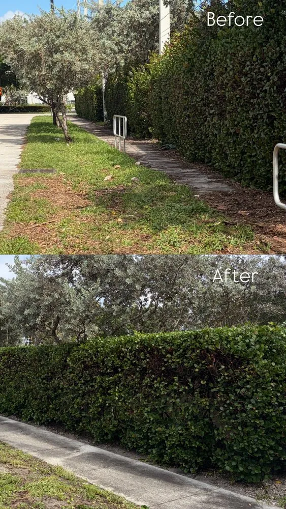 Trusted lawn care service for homes across Oakland Park, FL - All Care Property Services