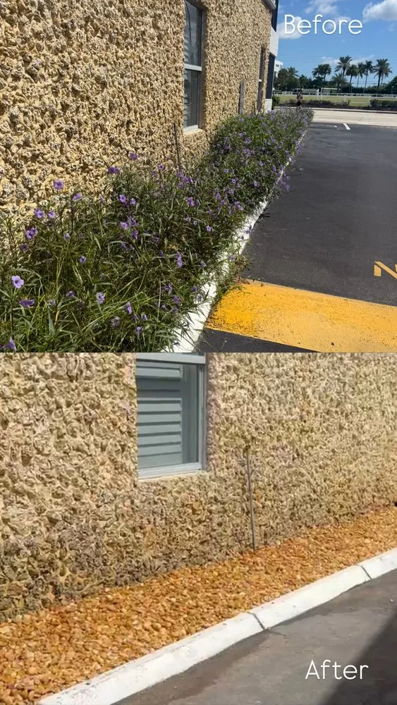 Expert outdoor landscaping with custom design across Oakland Park, FL - All Care Property Services