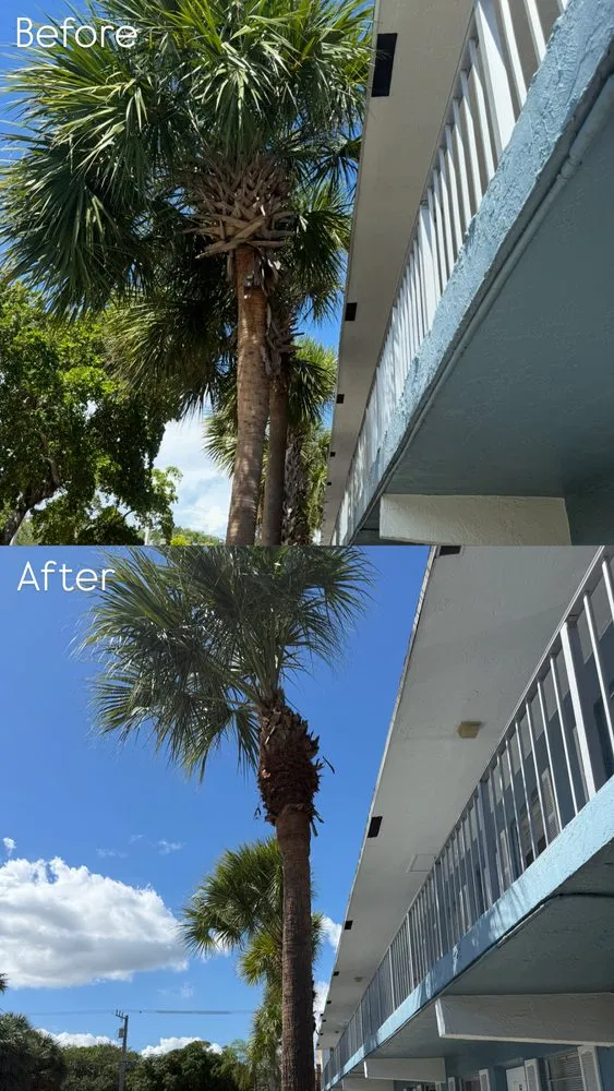 Top-rated yard cleanup service in Oakland Park, FL - All Care Property Services