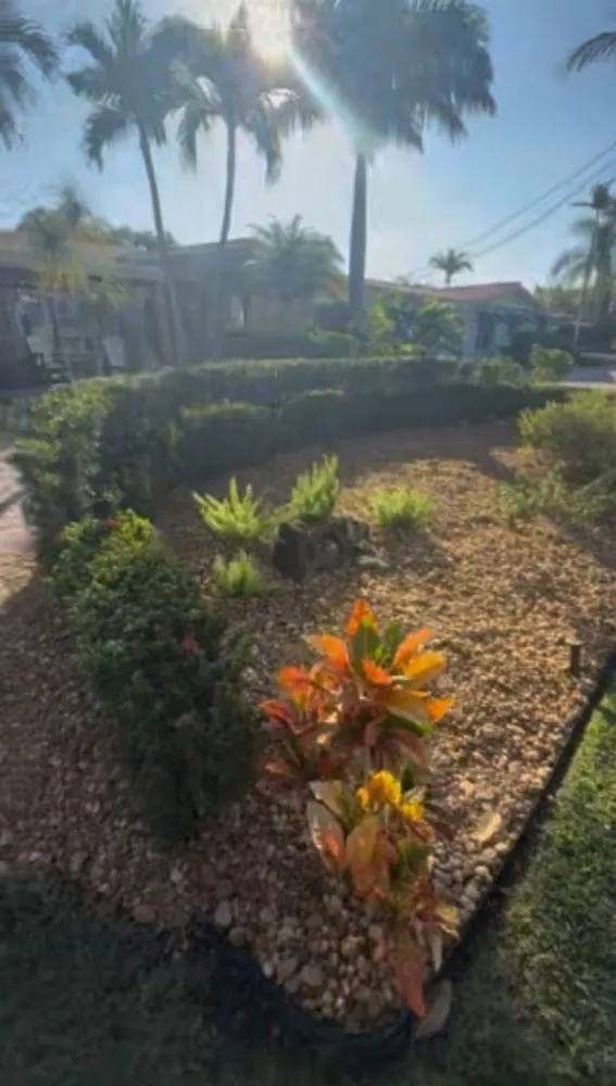 Professional lawn care service in Oakland Park, FL - All Care Property Services