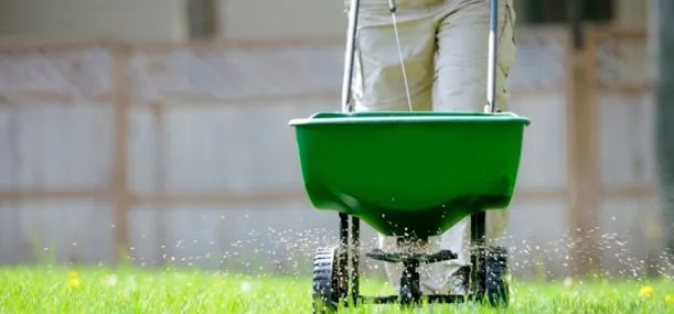 Professional lawn mowing service in Milwaukee, WI - All-Care Service