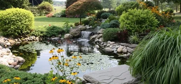 Expert outdoor landscaping in Milwaukee, WI by All-Care Service