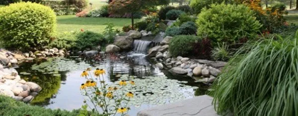 Reliable yard cleanup service in Milwaukee, WI by All-Care Service