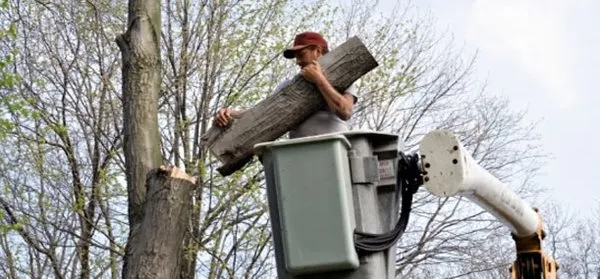 All-Care Service Logo