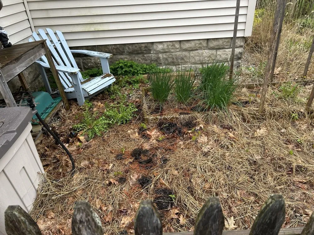 Local outdoor landscaping in Kennebunk, ME - All Care Services