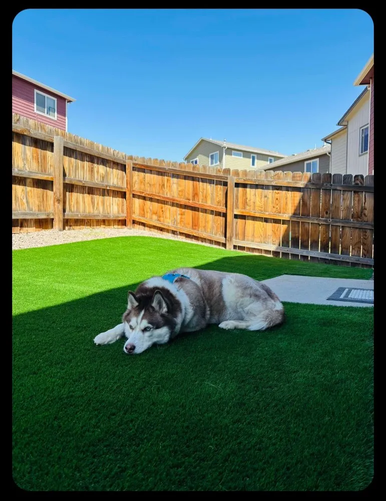 Expert yard cleanup service for homes across Colorado Springs, CO - All Care Solutions Turf