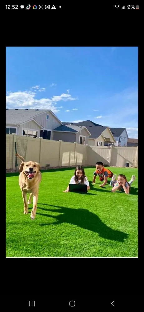 Trusted yard maintenance in Colorado Springs, CO - All Care Solutions Turf