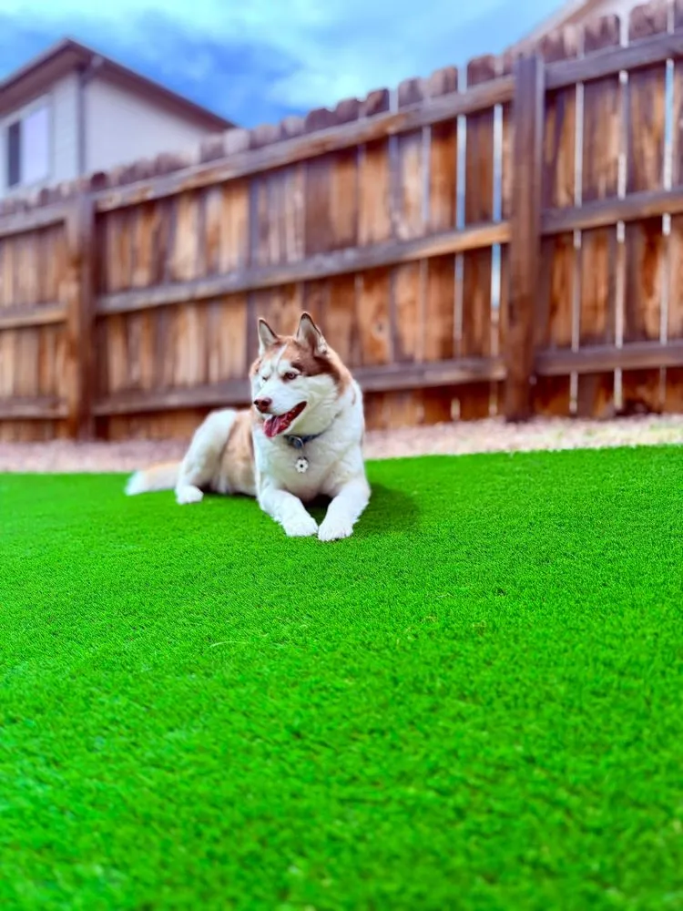 Reliable yard maintenance for beautiful yards in Colorado Springs, CO by All Care Solutions Turf