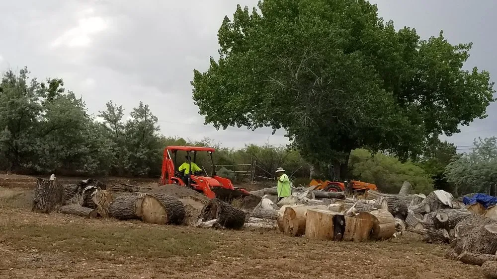 Professional outdoor landscaping experts serving Reno, NV - All City Lawn & Landscaping