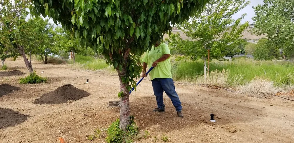 Local landscape design experts serving Reno, NV - All City Lawn & Landscaping