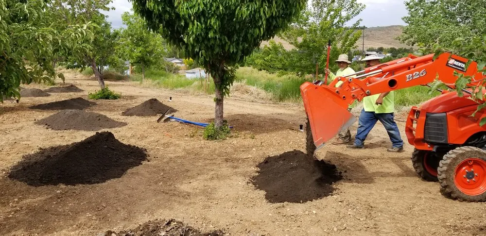 Top-rated lawn care service for residential properties across Reno, NV - All City Lawn & Landscaping