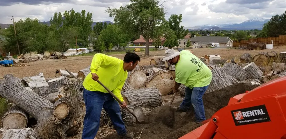 Professional yard cleanup service experts serving Reno, NV - All City Lawn & Landscaping