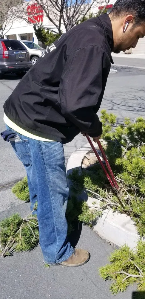 Professional landscape design for homes in Reno, NV by All City Lawn & Landscaping