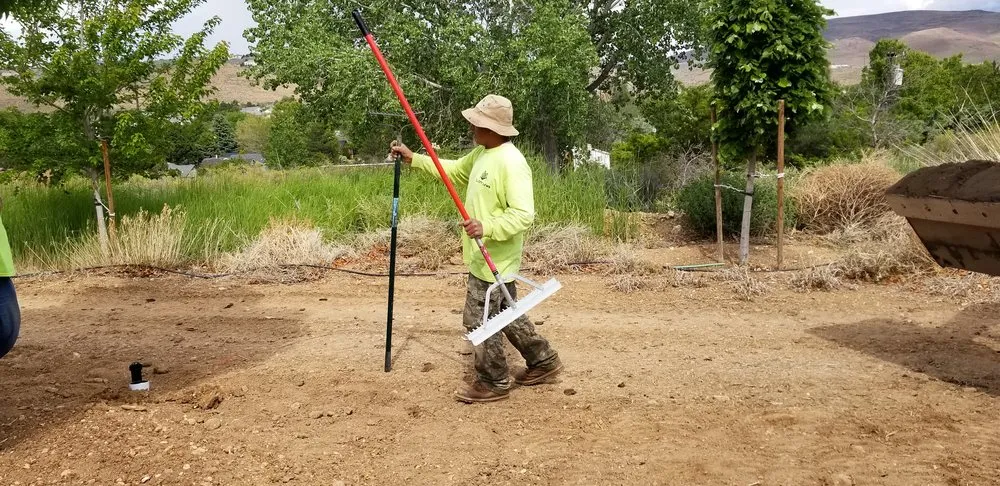 Local yard maintenance for beautiful yards in Reno, NV by All City Lawn & Landscaping