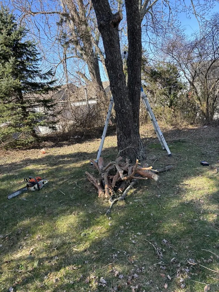 Trusted outdoor landscaping experts serving Fall River, MA - All City Lawn Care