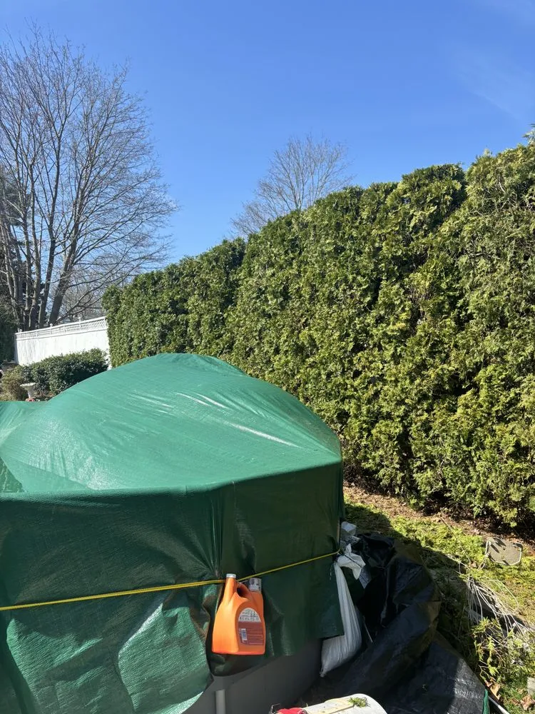 Affordable yard cleanup service in Fall River, MA by All City Lawn Care