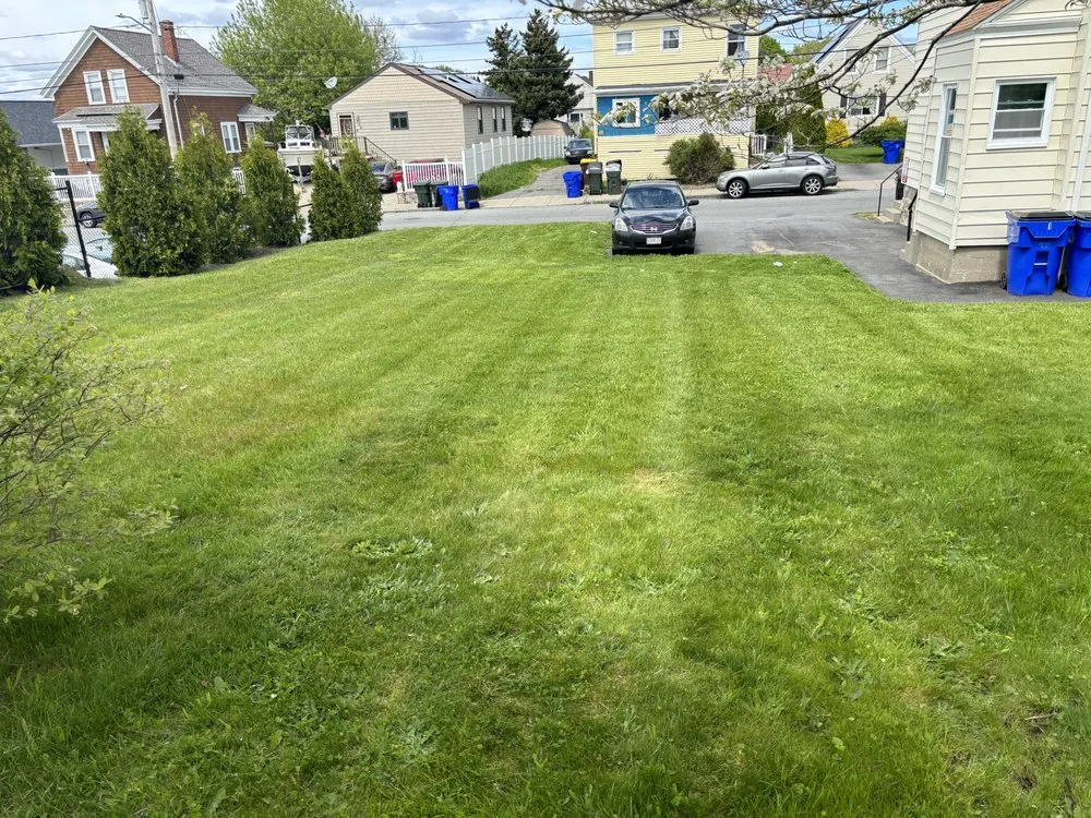 Local yard cleanup service for residential properties across Fall River, MA - All City Lawn Care