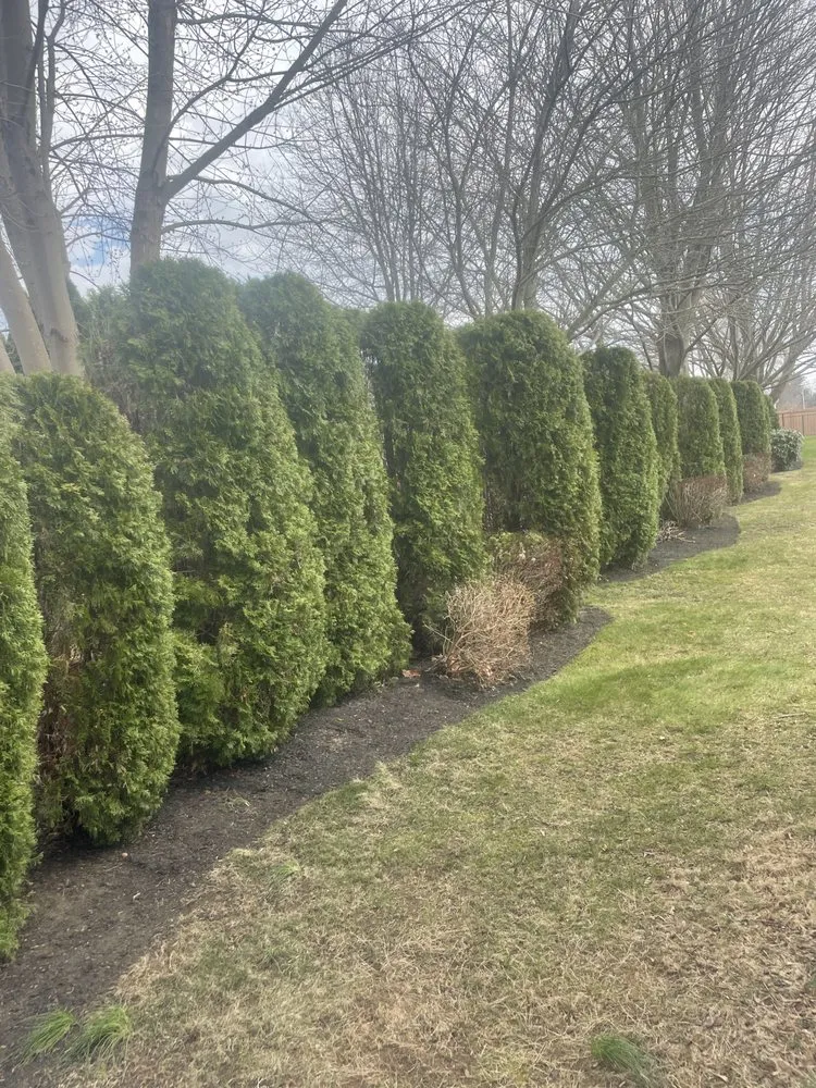 Affordable yard cleanup service with custom design across Fall River, MA - All City Lawn Care