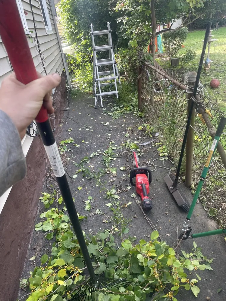 Top-rated residential landscaping experts serving Fall River, MA - All City Lawn Care